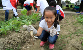 CMB Wing Lung volunteers and children took carrots out from the farm.