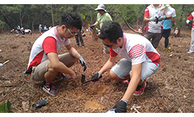 Colleagues cooperated with each other to plant the saplings through which they further enhanced their team spirit.