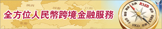 Comprehensive RMB Cross-Border Financial Services